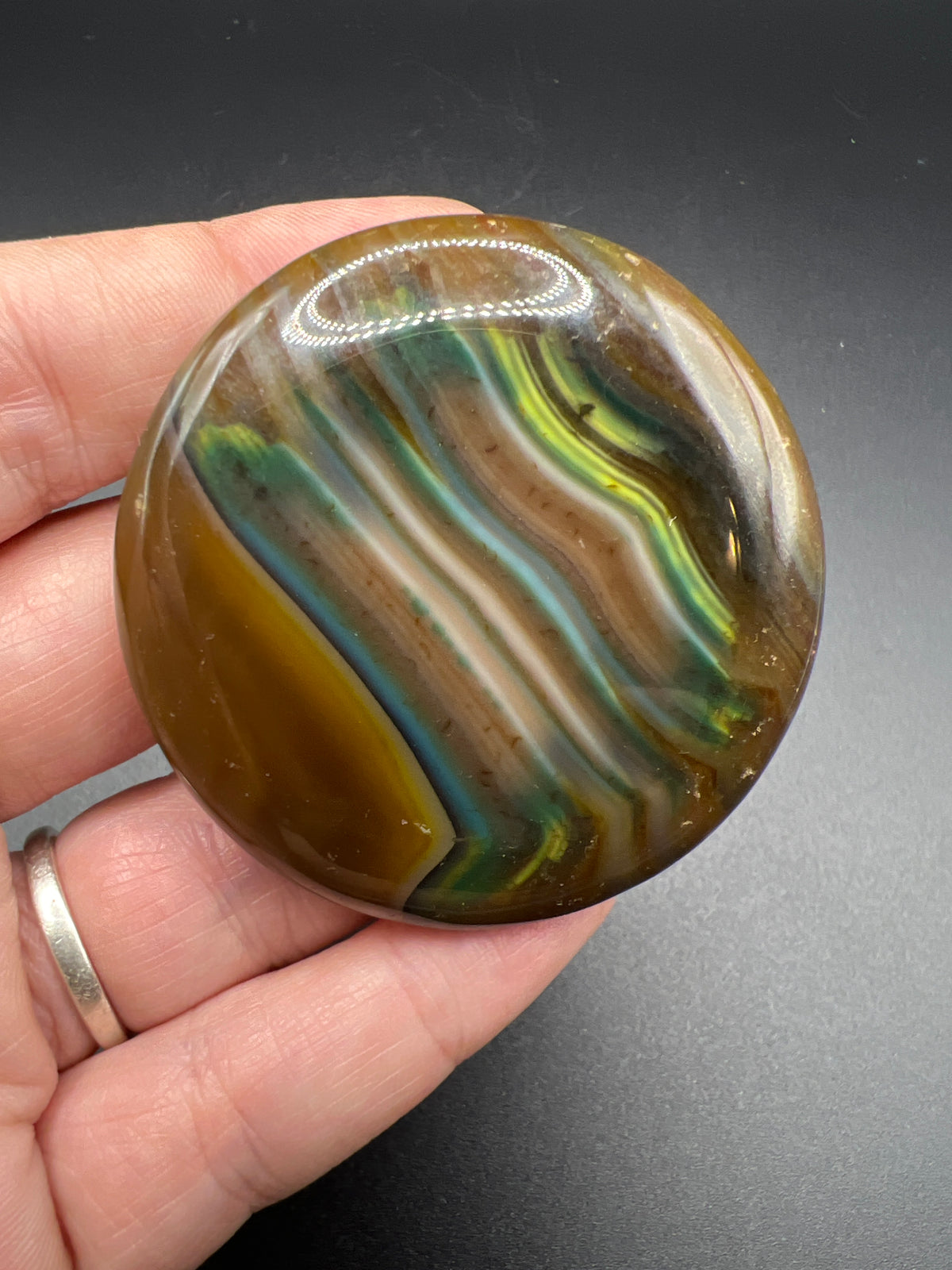 👁️ Gobi Eye Agate Palm Stone — The Ancient Watcher